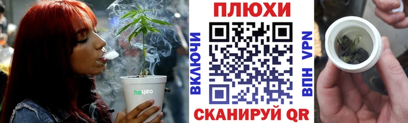 нарко площадка какой сайт  цены наркотик  Моршанск  Гашиш индика сатива 